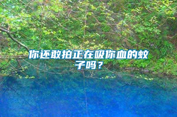 你還敢拍正在吸你血的蚊子嗎？
