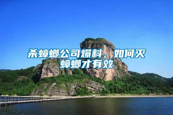 殺蟑螂公司爆料，如何滅蟑螂才有效