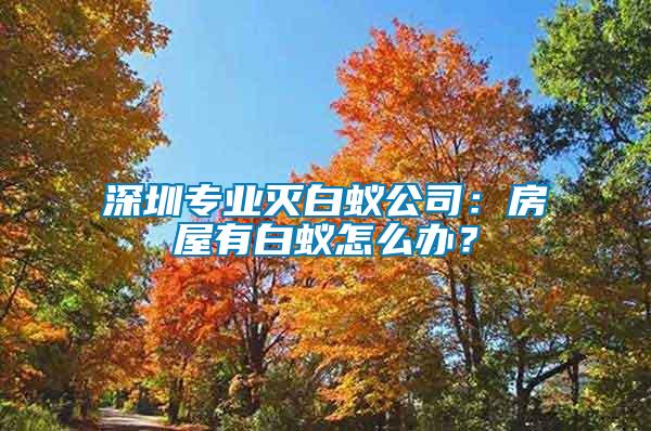 深圳專業(yè)滅白蟻公司：房屋有白蟻怎么辦？