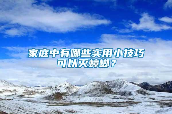家庭中有哪些實(shí)用小技巧可以滅蟑螂？