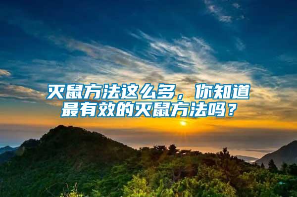 滅鼠方法這么多，你知道最有效的滅鼠方法嗎？