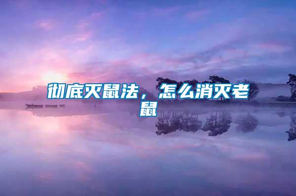 徹底滅鼠法，怎么消滅老鼠