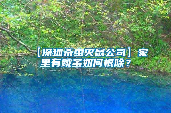 【深圳殺蟲(chóng)滅鼠公司】家里有跳蚤如何根除？