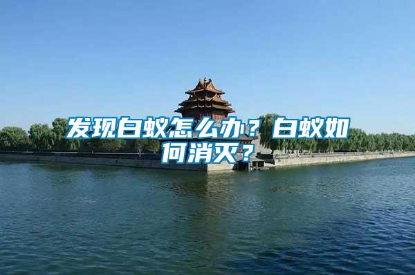 發(fā)現(xiàn)白蟻怎么辦？白蟻如何消滅？