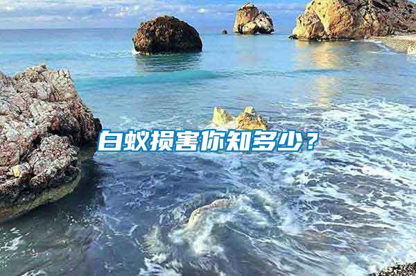 白蟻損害你知多少？