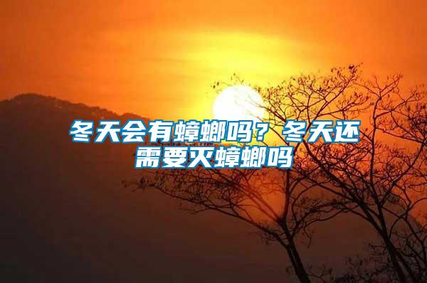 冬天會(huì)有蟑螂嗎？冬天還需要滅蟑螂嗎