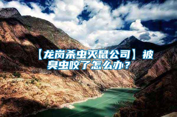 【龍崗殺蟲滅鼠公司】被臭蟲咬了怎么辦？