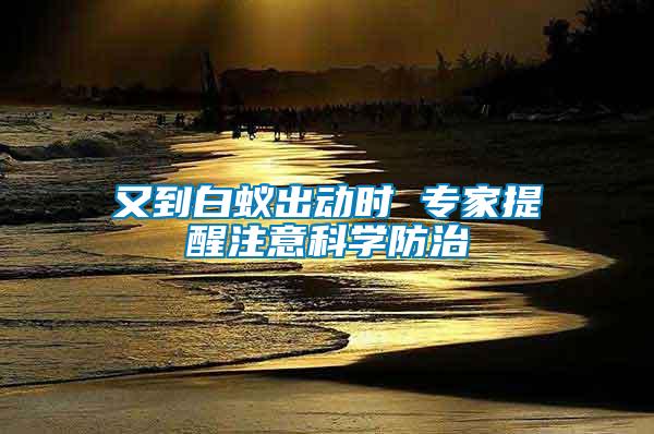 又到白蟻出動時 專家提醒注意科學防治