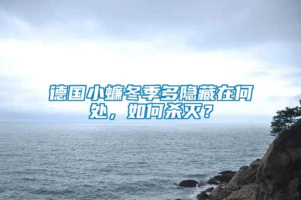 德國小蠊冬季多隱藏在何處，如何殺滅？