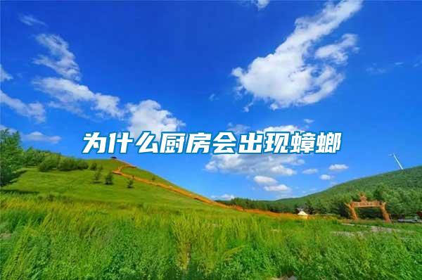 為什么廚房會(huì)出現(xiàn)蟑螂