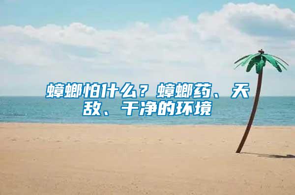 蟑螂怕什么？蟑螂藥、天敵、干凈的環(huán)境