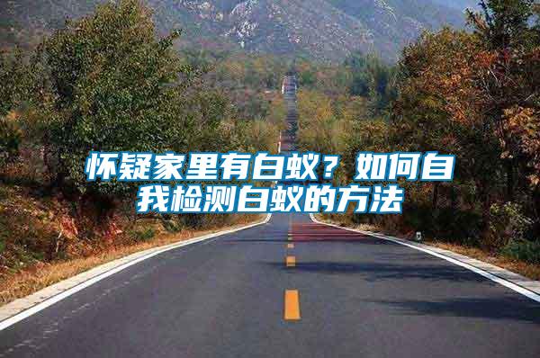 懷疑家里有白蟻？如何自我檢測白蟻的方法