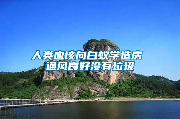 人類應(yīng)該向白蟻學(xué)造房 通風(fēng)良好沒(méi)有垃圾