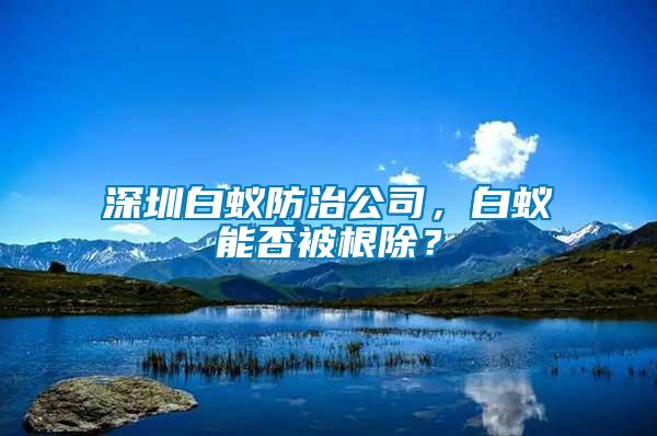 深圳白蟻防治公司，白蟻能否被根除？