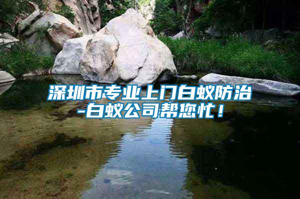 深圳市專業(yè)上門白蟻防治-白蟻公司幫您忙！
