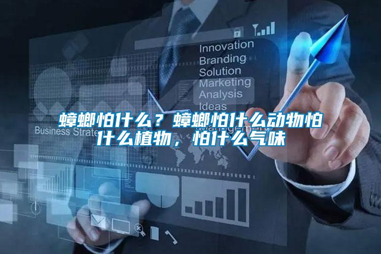 蟑螂怕什么？蟑螂怕什么動物怕什么植物，怕什么氣味