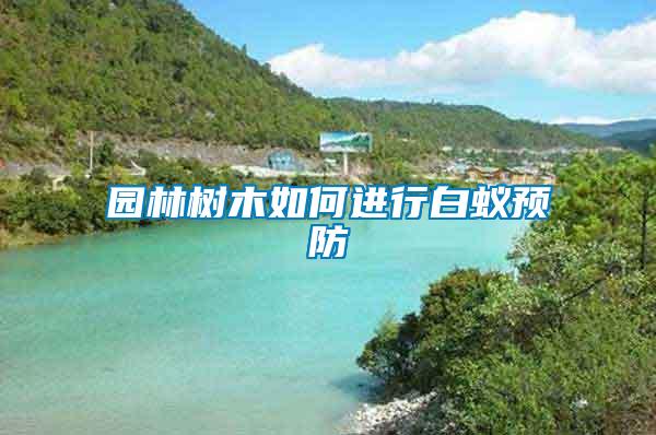園林樹木如何進(jìn)行白蟻預(yù)防