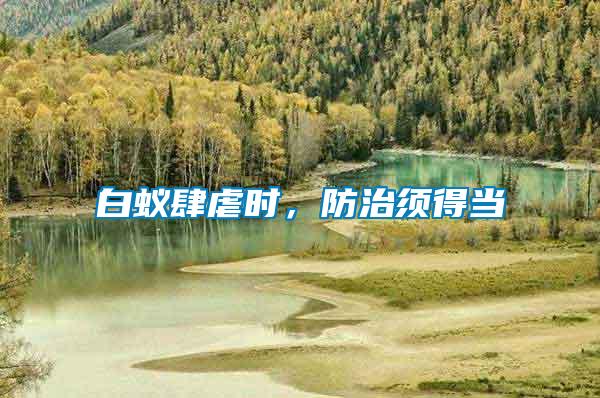 白蟻肆虐時，防治須得當(dāng)