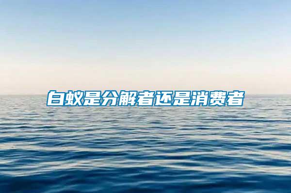 白蟻是分解者還是消費者