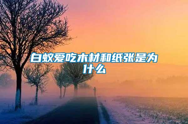 白蟻愛(ài)吃木材和紙張是為什么