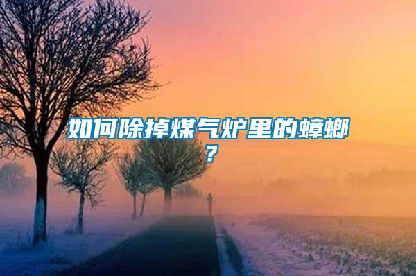 如何除掉煤氣爐里的蟑螂？