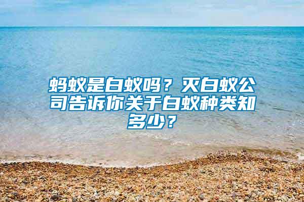 螞蟻是白蟻嗎？滅白蟻公司告訴你關(guān)于白蟻種類知多少？