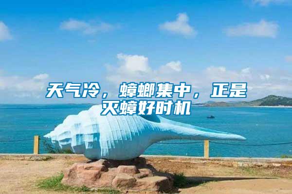 天氣冷，蟑螂集中，正是滅蟑好時(shí)機(jī)