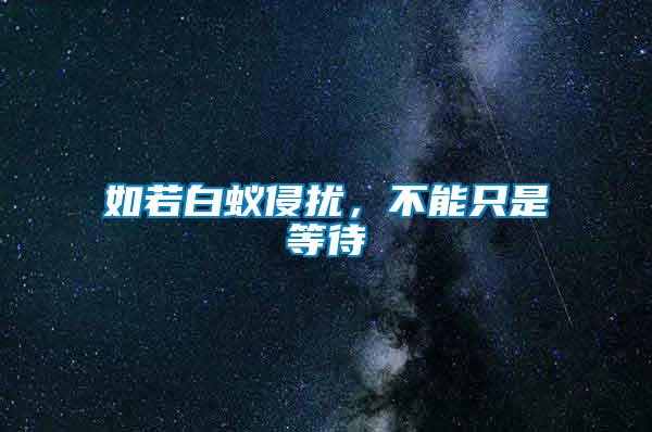 如若白蟻侵擾，不能只是等待