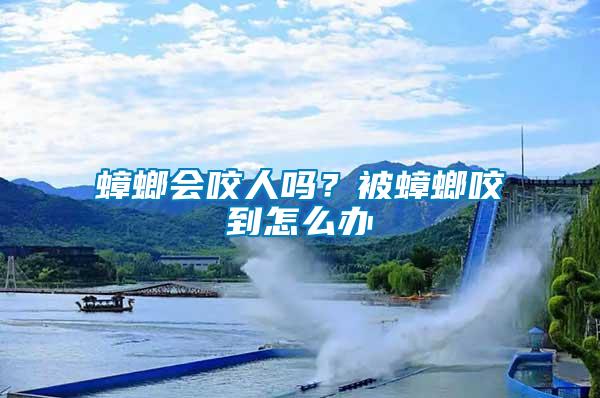 蟑螂會咬人嗎？被蟑螂咬到怎么辦