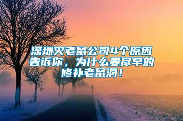 深圳滅老鼠公司4個原因告訴你，為什么要盡早的修補老鼠洞！