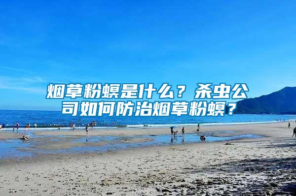 煙草粉螟是什么？殺蟲公司如何防治煙草粉螟？