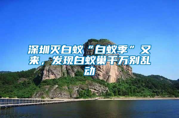 深圳滅白蟻“白蟻季”又來，發(fā)現白蟻巢千萬別亂動