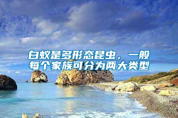 白蟻是多形態(tài)昆蟲(chóng)，一般每個(gè)家族可分為兩大類(lèi)型