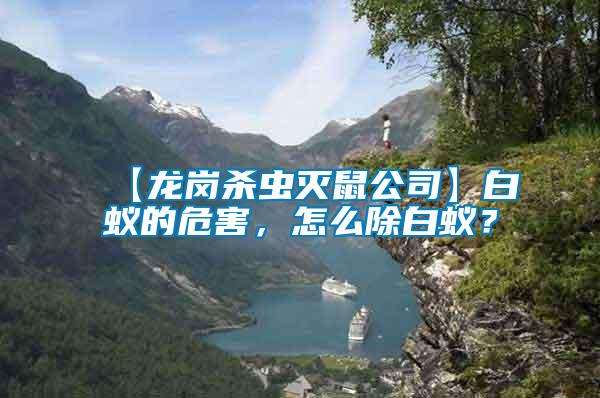 【龍崗殺蟲滅鼠公司】白蟻的危害，怎么除白蟻？