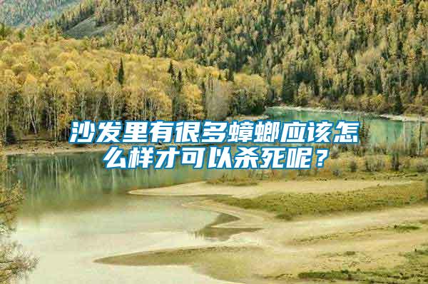 沙發(fā)里有很多蟑螂應(yīng)該怎么樣才可以殺死呢？