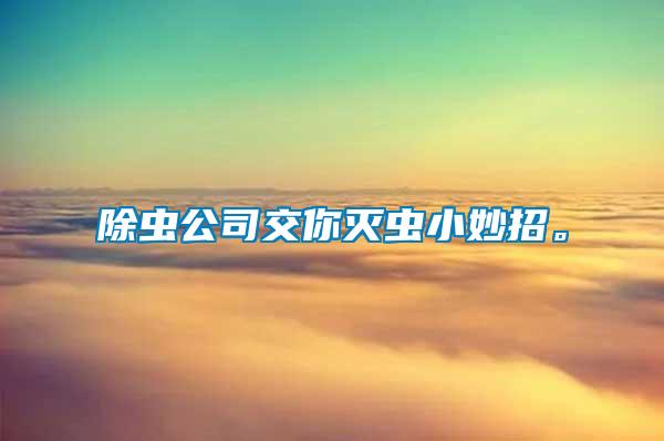 除蟲公司交你滅蟲小妙招。