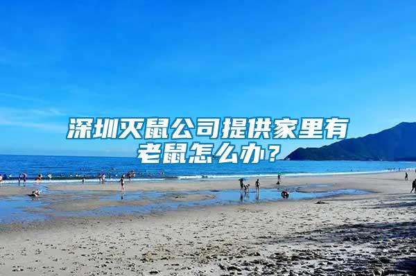 深圳滅鼠公司提供家里有老鼠怎么辦？