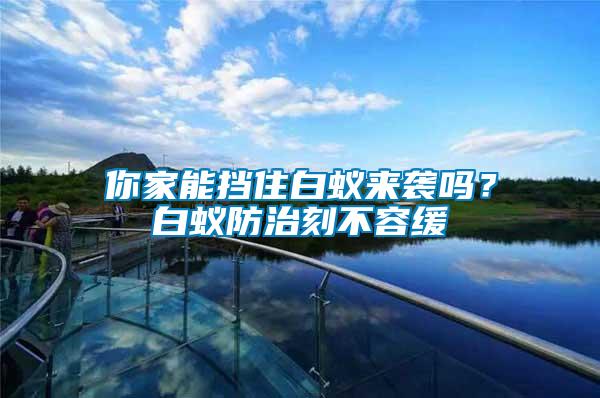 你家能擋住白蟻來襲嗎？白蟻防治刻不容緩