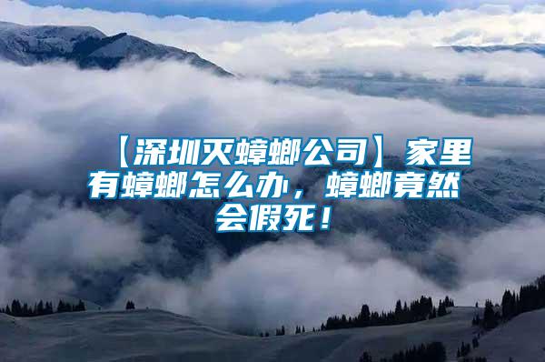 【深圳滅蟑螂公司】家里有蟑螂怎么辦，蟑螂竟然會假死！