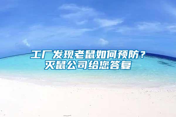 工廠發(fā)現(xiàn)老鼠如何預(yù)防？滅鼠公司給您答復(fù)