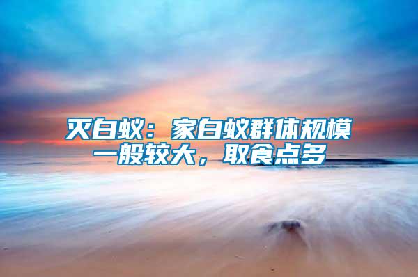 滅白蟻：家白蟻群體規(guī)模一般較大，取食點多
