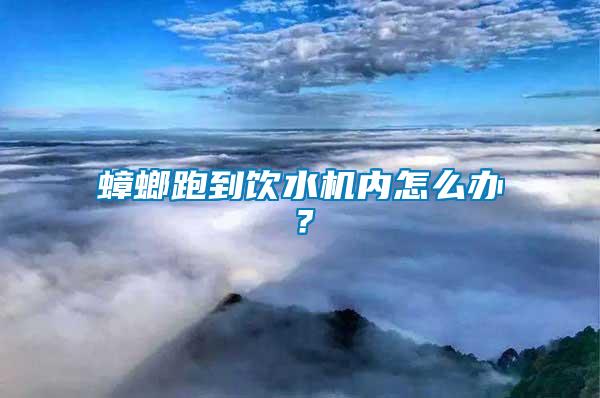 蟑螂跑到飲水機(jī)內(nèi)怎么辦？