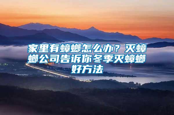 家里有蟑螂怎么辦？滅蟑螂公司告訴你冬季滅蟑螂好方法