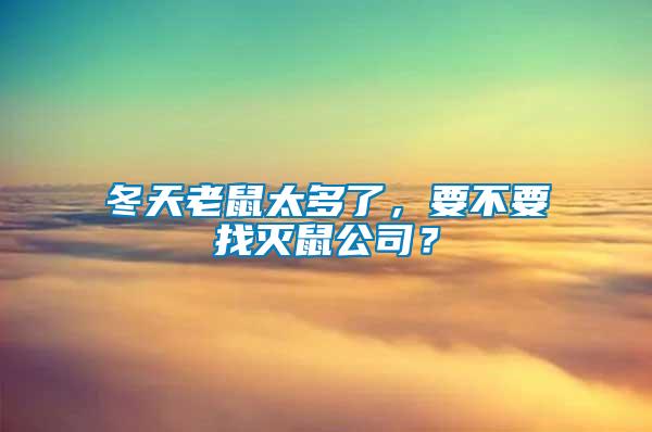 冬天老鼠太多了，要不要找滅鼠公司？