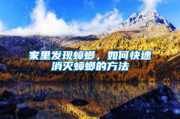 家里發(fā)現(xiàn)蟑螂，如何快速消滅蟑螂的方法