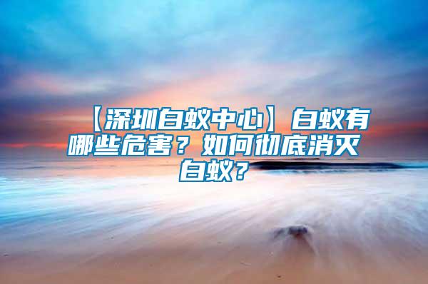 【深圳白蟻中心】白蟻有哪些危害？如何徹底消滅白蟻？