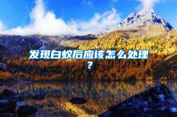 發(fā)現(xiàn)白蟻后應(yīng)該怎么處理？