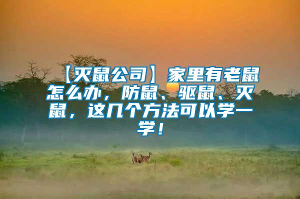 【滅鼠公司】家里有老鼠怎么辦，防鼠、驅(qū)鼠、滅鼠，這幾個方法可以學(xué)一學(xué)！