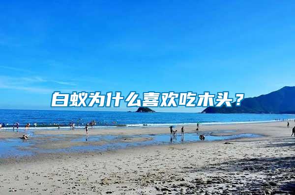 白蟻為什么喜歡吃木頭？
