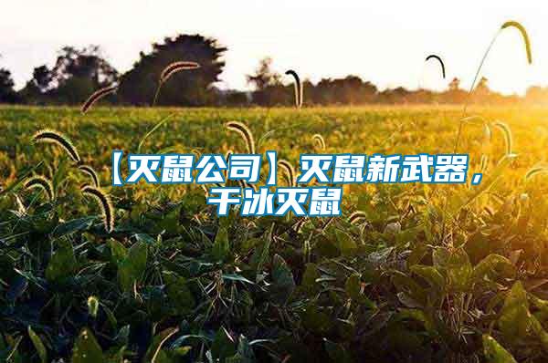 【滅鼠公司】滅鼠新武器，干冰滅鼠